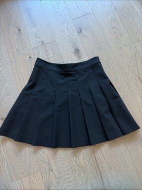 Aritzia Sunday Best Black Pleated Mini Skirt